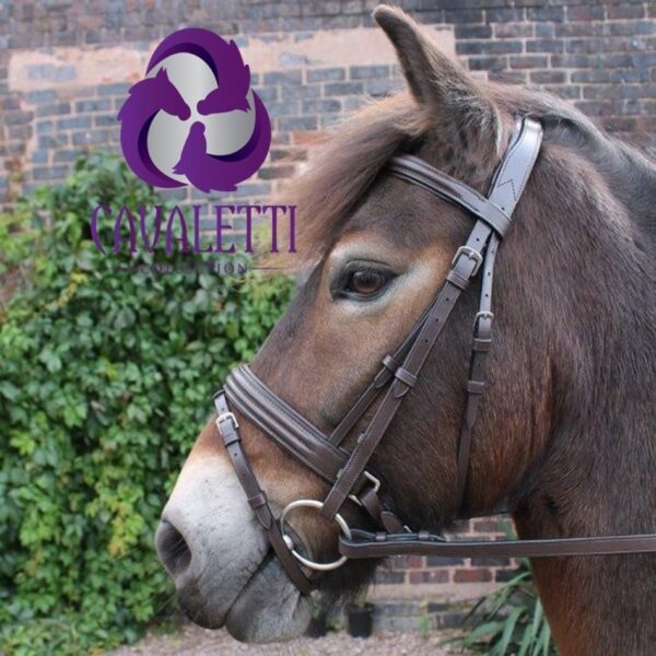 Cavaletti Flash Bridle