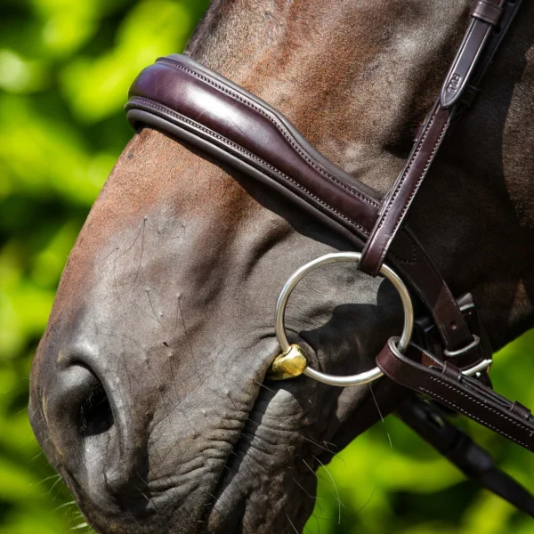 Verdura Anatomic Cavesson Noseband Black/Brown