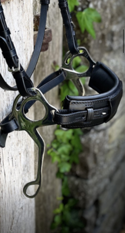 Evo Equine Hackamore Bridle - Image 3